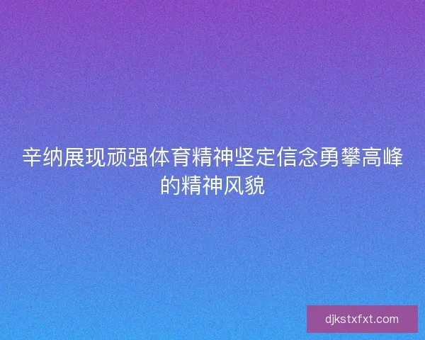 辛纳展现顽强体育精神坚定信念勇攀高峰的精神风貌